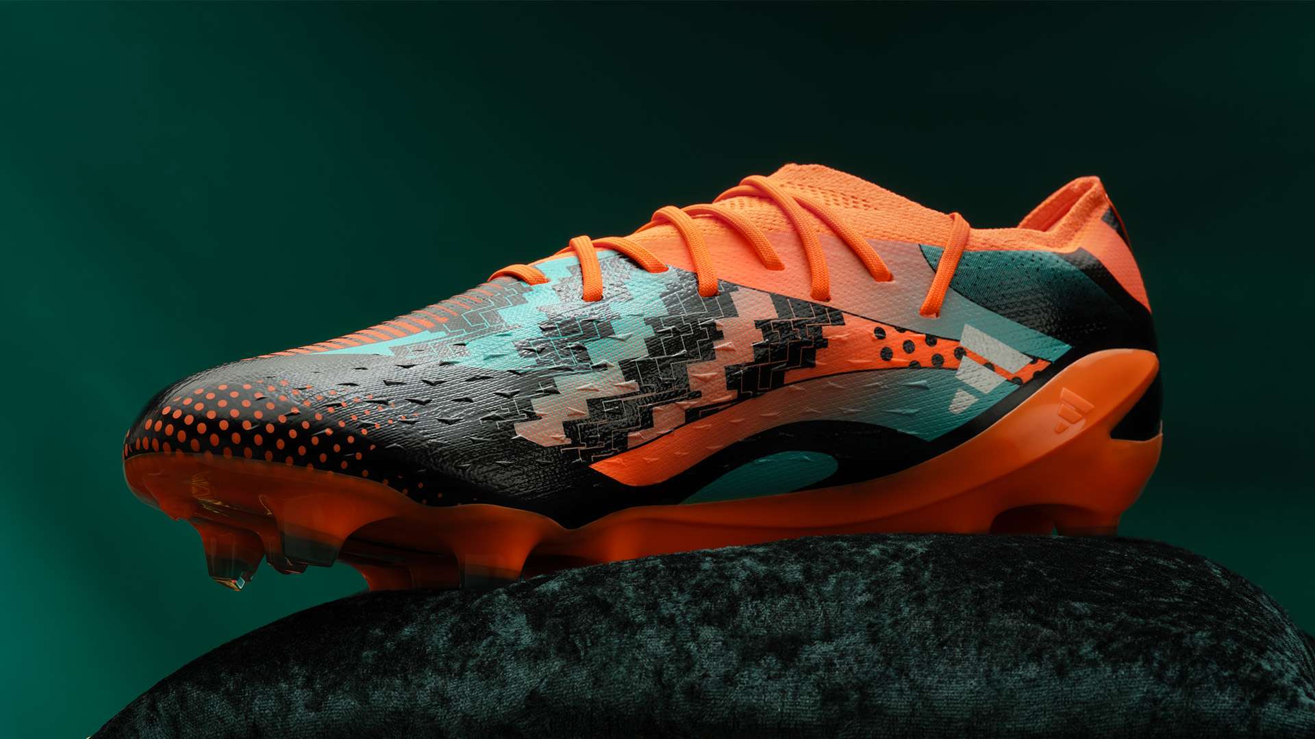 这一声明的 这一声明的